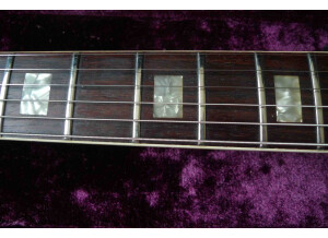 Gibson ES-335 TD (24851)