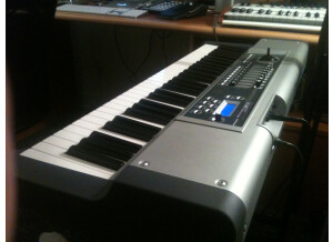 Fatar / Studiologic VMK-161-plus (12615)