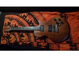 Gibson The Paul Firebrand (37017)