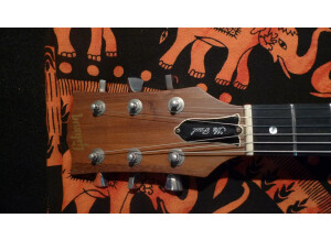 Gibson The Paul Firebrand (11194)
