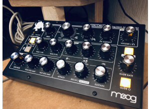 Moog Music Minitaur (30098)