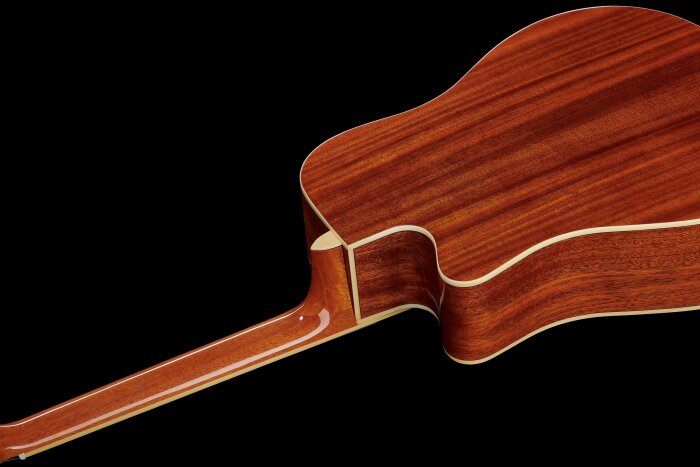 CLD60bodyback CLD60bodyback