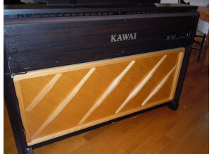 Kawai CA91