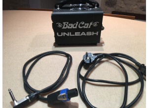 Bad Cat Unleash (33335)