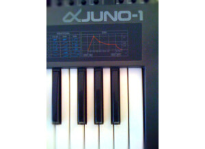 Roland JUNO-1 (61415)