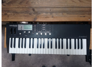 Waldorf Blofeld Keyboard (4497)