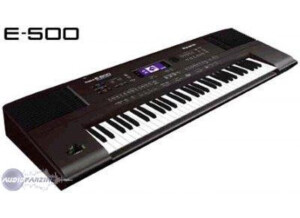 Roland E-500 (40770)