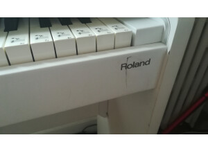 Roland F-120 (43053)
