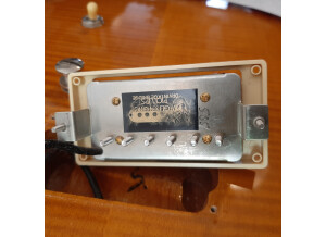 PRS SE Singlecut (98651)