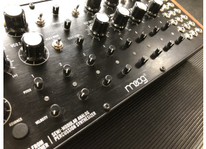Moog Music DFAM (Drummer From Another Mother) (63354)