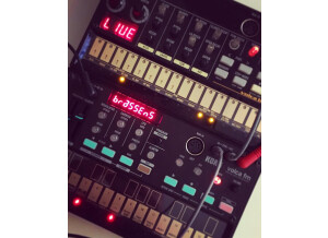 63F83B49-DD85-4ED1-BDF7-11031E2B2498