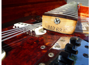 Fender Bass VI
