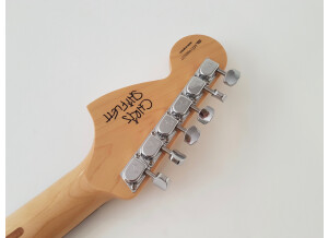 Fender Chris Shiflett Telecaster Deluxe (35962)