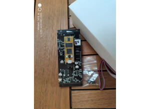 Noise Engineering Desmodus Versio (12428)