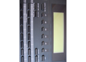 Roland XP-80 (8131)