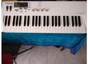 Waldorf Blofeld Keyboard (91513)