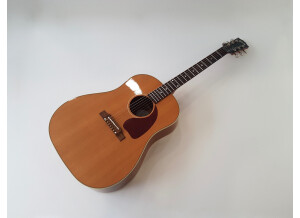 Gibson J45 (25309)