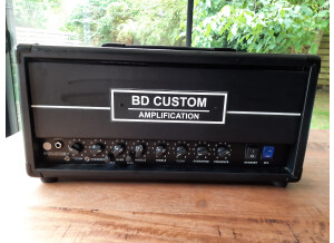 BD Custom Amplification BF/CUSTOM+ (42117)