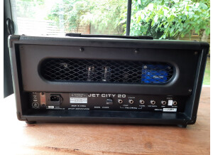 BD Custom Amplification BF/CUSTOM+ (77400)