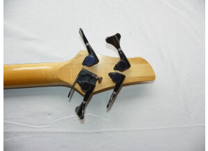 Noguera Expression 4 Cordes