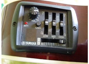 Yamaha APX500FM