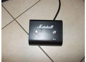 Marshall MG100DFX (62497)