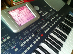 Korg Pa500 (37218)