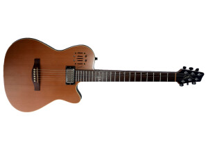 Guitare Godin A6 Ultra web