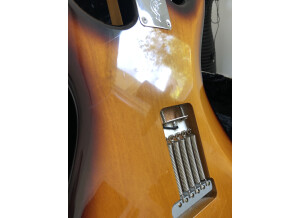 Fender Eric Johnson Stratocaster Maple (89843)