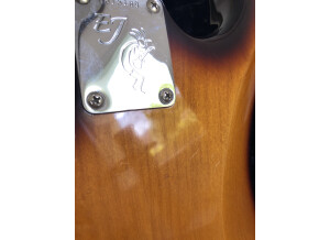 Fender Eric Johnson Stratocaster Maple (59371)