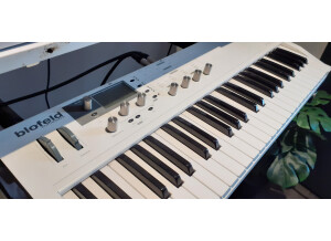 Waldorf Blofeld Keyboard (41033)