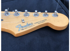 Fender Standard Stratocaster [1990-2005] (98684)