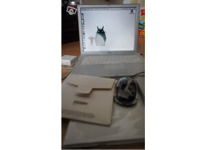 Apple Ibook G3 600 (20781)