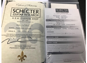 Schecter Hollywood Classic (99986)