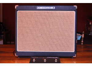 Tech 21 Trademark 60 1x12 (37743)