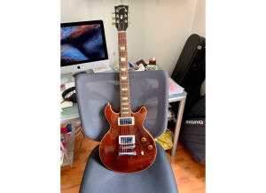 Gibson Les Paul DC Pro (74617)