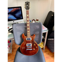 Gibson Les Paul DC Pro