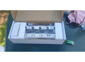 TC Electronic Plethora X5 (57479)