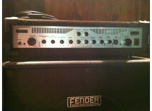 Fender [Bassman Series] 250 Combo 1x15