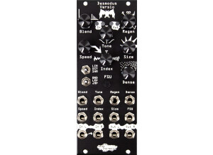 NE-DV-blck-scaled