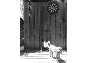 Fender Custom Shop '68 Heavy Relic Stratocaster (31654)