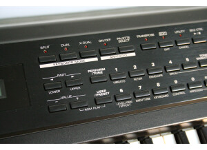 Roland XP-10 (62635)