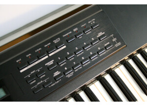 Roland XP-10 (26106)