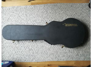 Hamer Studio Custom (54775)