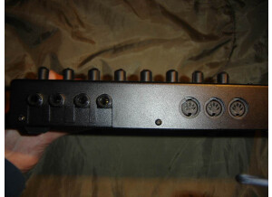 Dave Smith Instruments Evolver (86957)