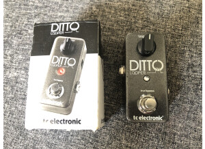 TC Electronic Ditto Looper (67239)