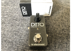 TC Electronic Ditto Looper (33697)