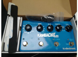 TC Electronic Flashback x4 (97757)
