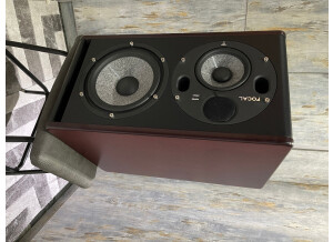 Focal Trio6 Be (1087)