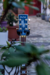 HBSCustomPlus-19 HBSCustomPlus-19